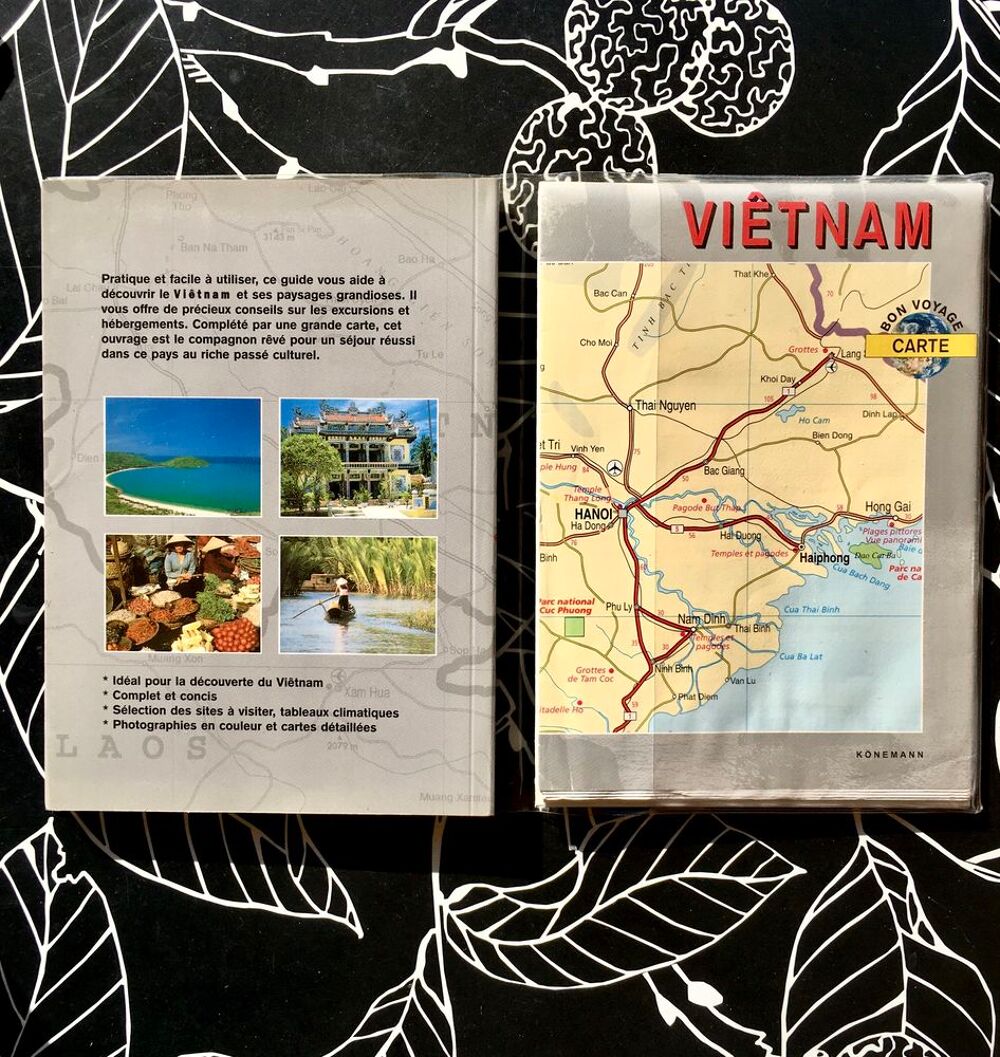 VI&Ecirc;TNAM , Guide "&nbsp;Bon Voyage&nbsp;" , 130 pages + grande Carte Livres et BD