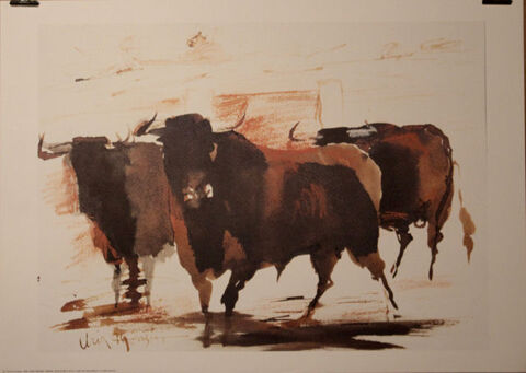  U R I A   M ON Z O N       TOROS EN EL CAMPO    30 Anglet (64)