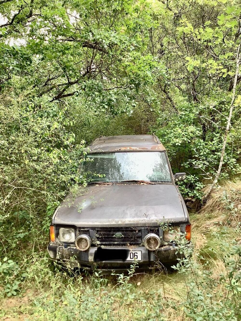 Discovery 2.5 TDI Standard (5pl) 1990 occasion 06420 Clans