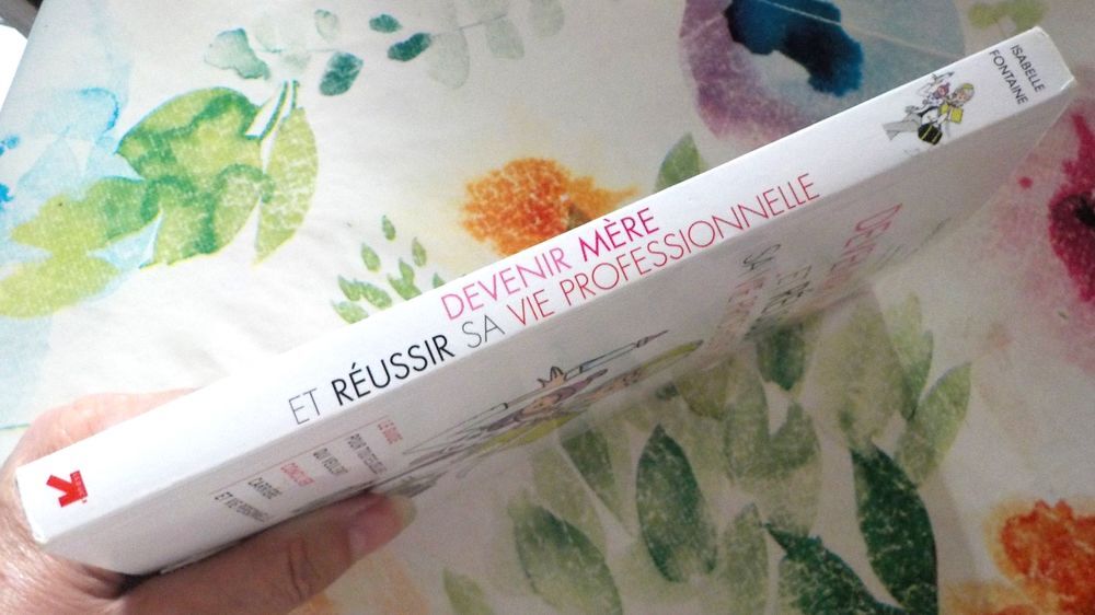 DEVENIR MERE ET REUSSIR SA VIE PROFESSIONNELLE Livres et BD
