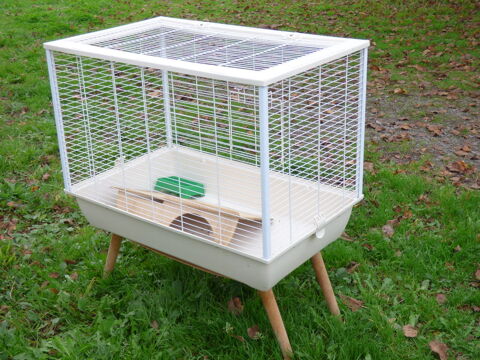 cage 50 18370 Saint-saturnin