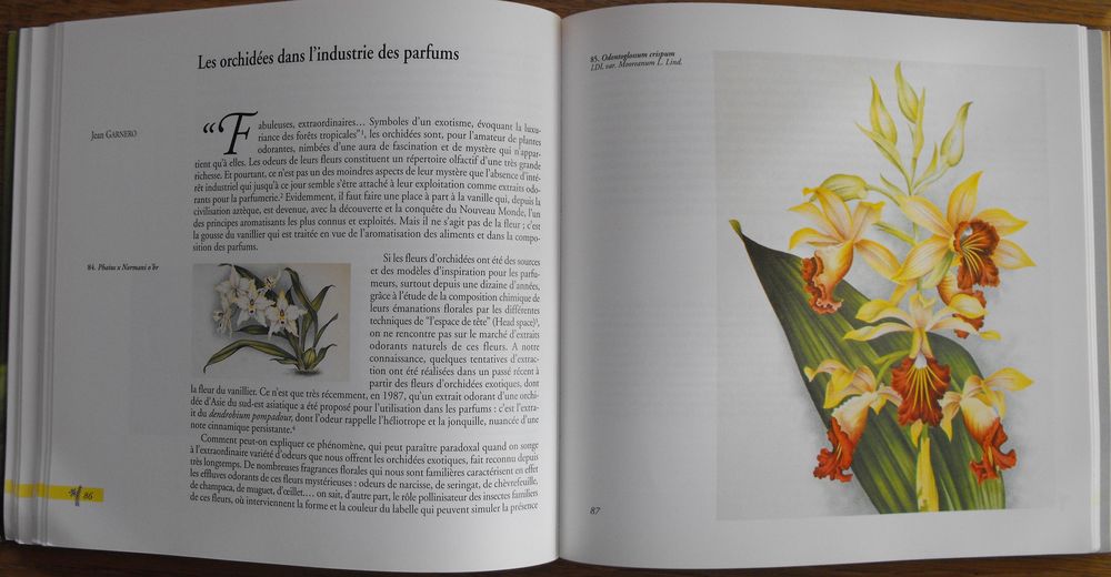 Vanilles et Orchid&eacute;es Livres et BD