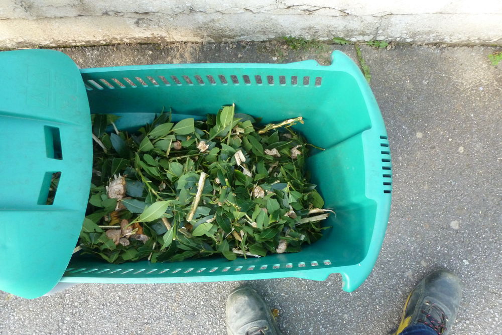 broyeur &agrave; v&eacute;g&eacute;taux Jardin