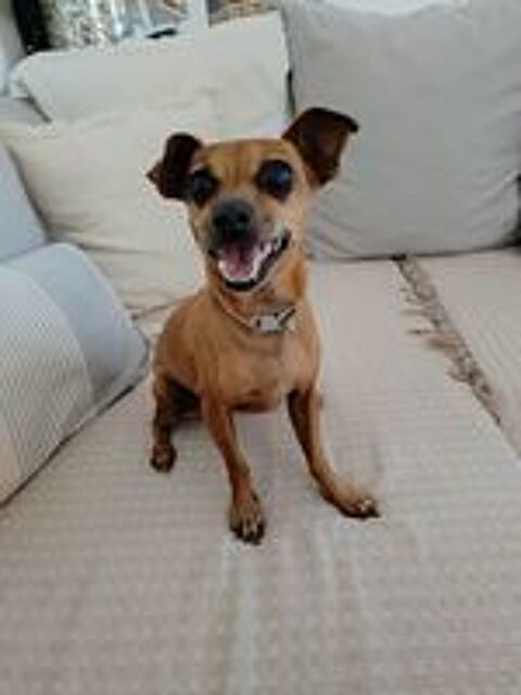   Roxy la mini coquine  