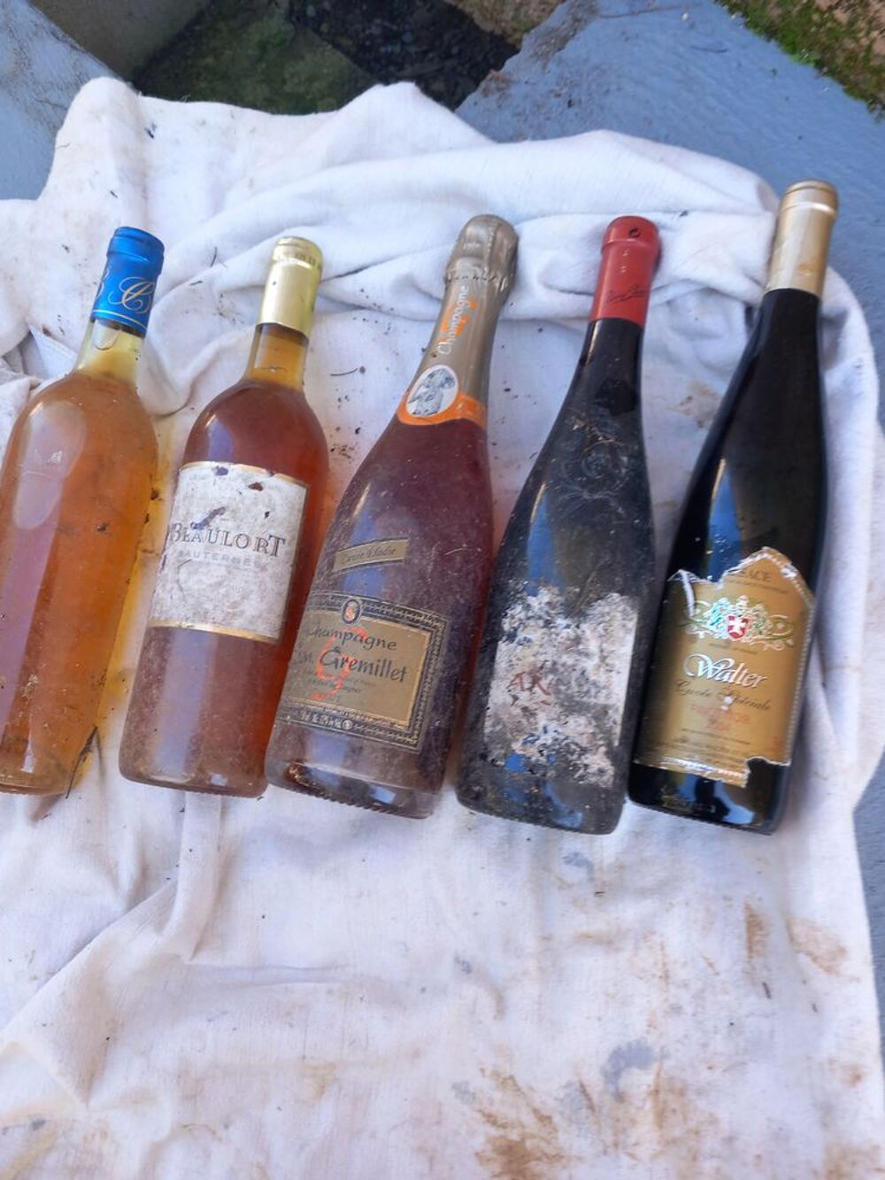 Bouteilles de vin 