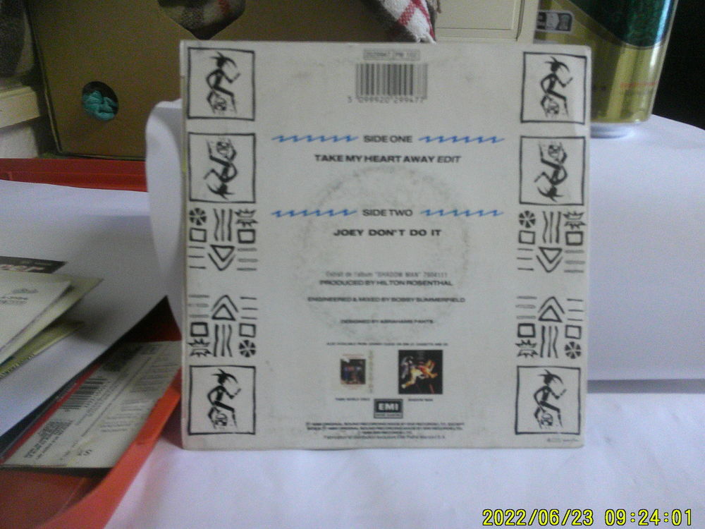 3 . Disques Vinyles de JOHNNY CLEGG &amp; SAVUKA 