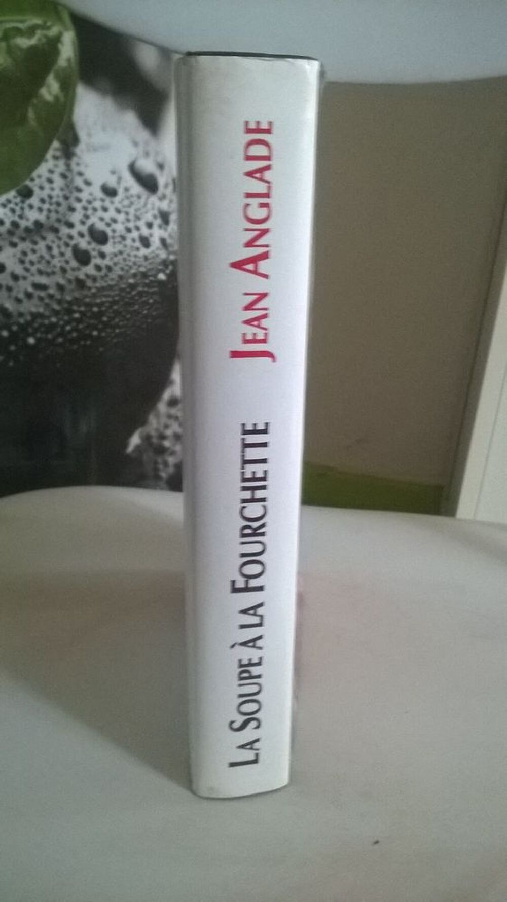 Livre La Soupe &Agrave; la Fourchette 
de Jean Anglade 
1995
Livres et BD
