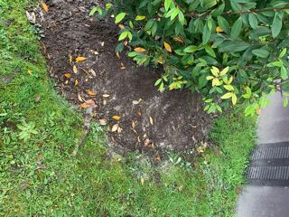  Terrain � vendre 250 m�