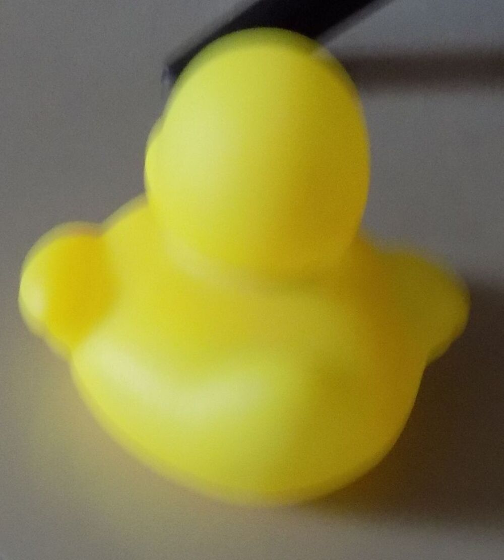 Petit canard Jeux / jouets