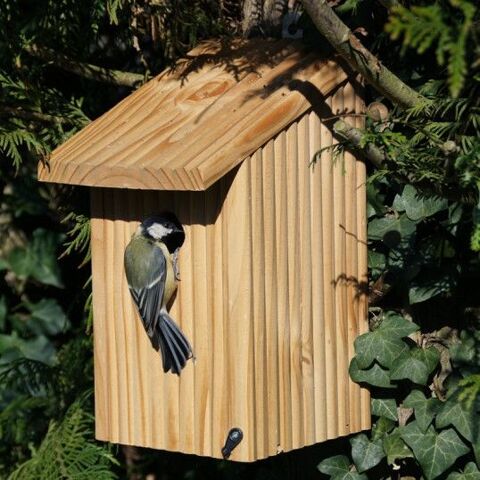 Nichoirs ou nids pour oiseaux du jardin 30 45230 La bussière