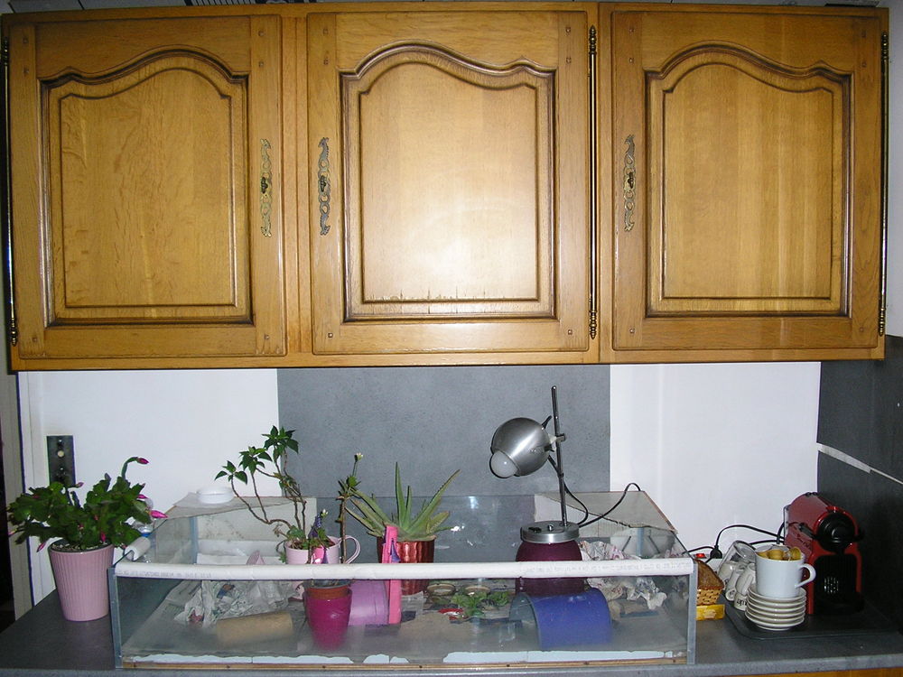 Elements de cuisine int&eacute;gr&eacute;e Meubles