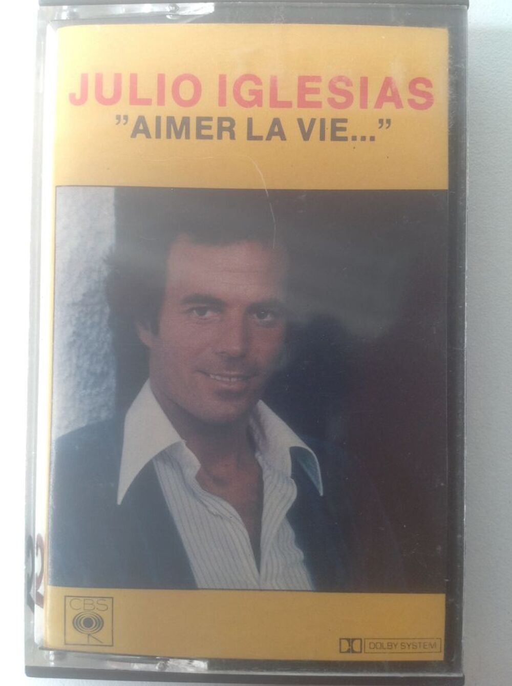 JULIO IGLESIAS AIMER LA VIE K7 AUDIO Envoi Possible
CD et vinyles