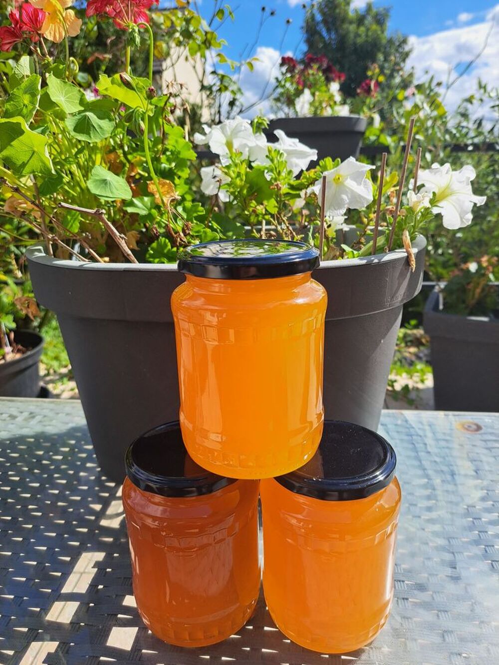 MIEL FLEURS D'&Eacute;T&Eacute; POTS 1 KG Jardin