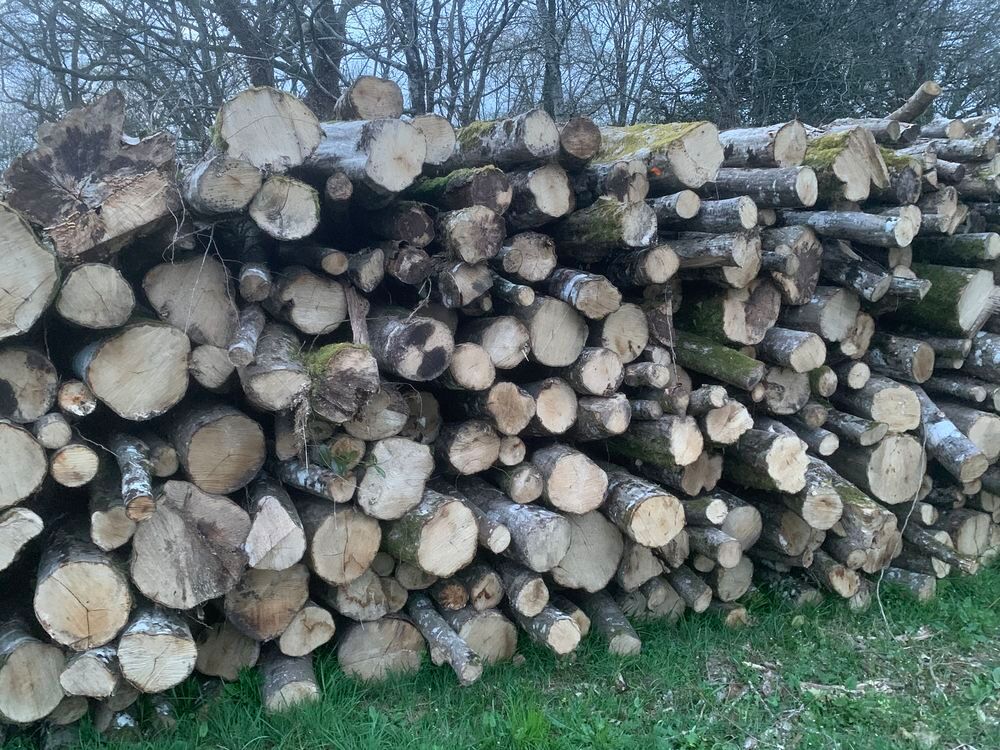 BOUS DE CHAUFFAGE Jardin
