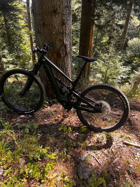 Vttae yt decoy mx core Guebwiller (68)