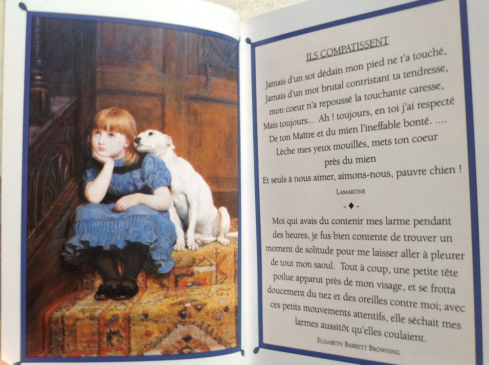 LES CHIENS CITATIONS PAR HELEN EXLEY Envoi Possible
Livres et BD