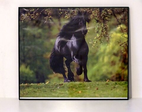 Lot 3 Cadres  Photo Passion   + 2 posters
21 Les Moli�res (91)