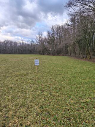  Terrain � vendre 37500 m� Nespouls