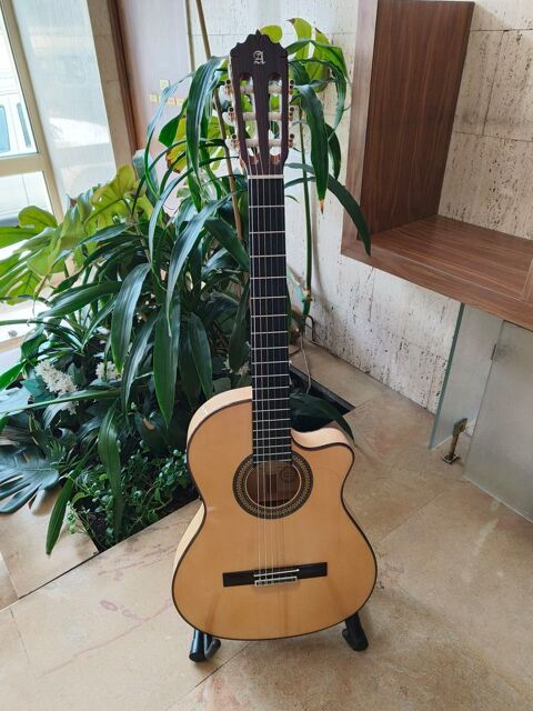 Alhambra 7FCCTE2 1000 Lyon 3 (69)