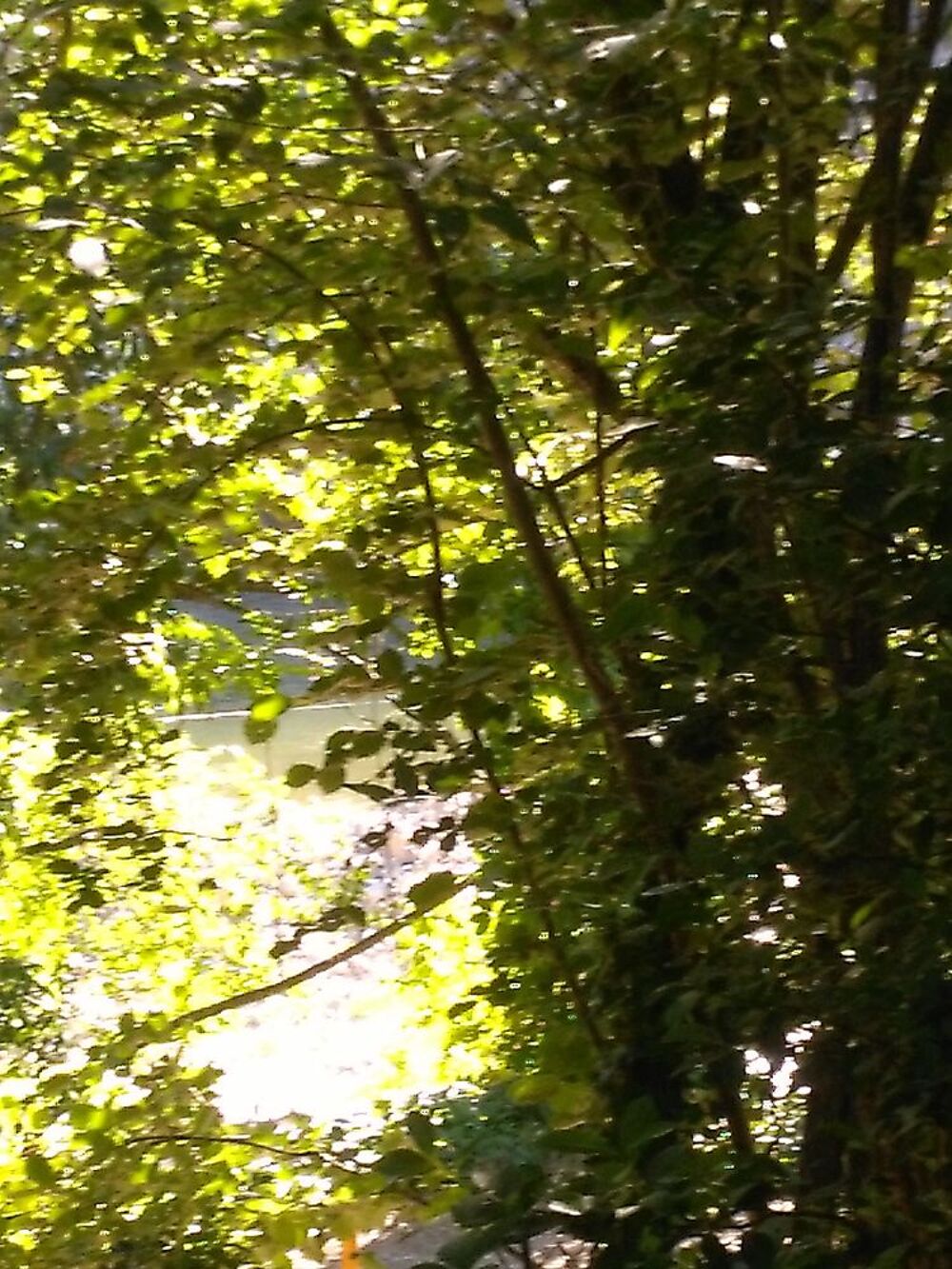   ? Rives Mas du Bateau : Votre Parenthèse Enchantée au Bord  Rhône-Alpes, Ruoms (07120)