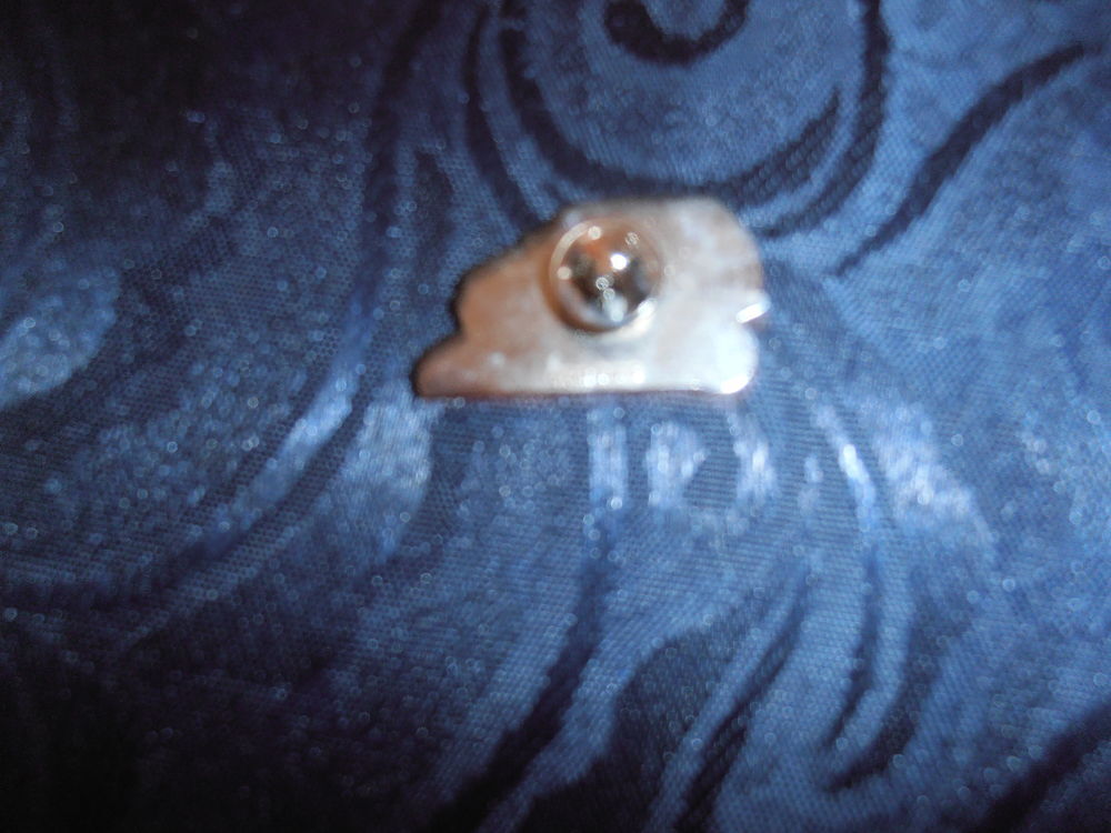 Pins Volkswagen (28a) 