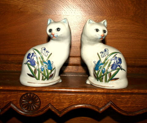 paire de chats 0 Nouzonville (08)