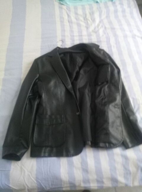 Veste cuir  25 Ondres (40)