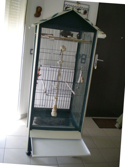 Voli&egrave;re d'int&eacute;rieur avec roulettes 70 86340 Roches-pr�marie-andill�