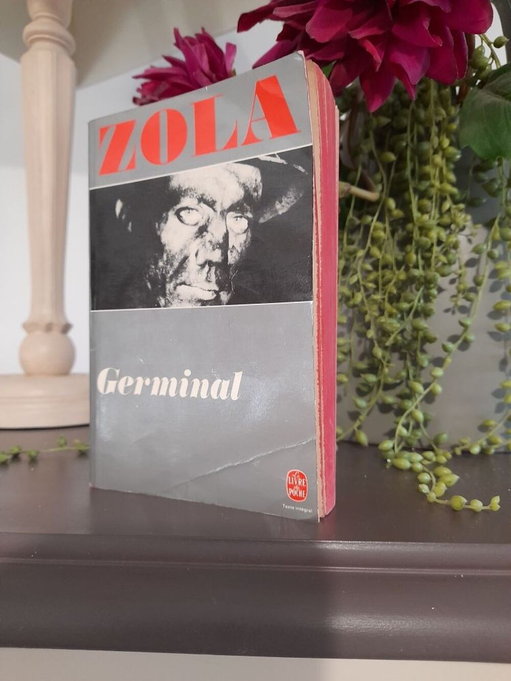Germinal de Zola Livres et BD