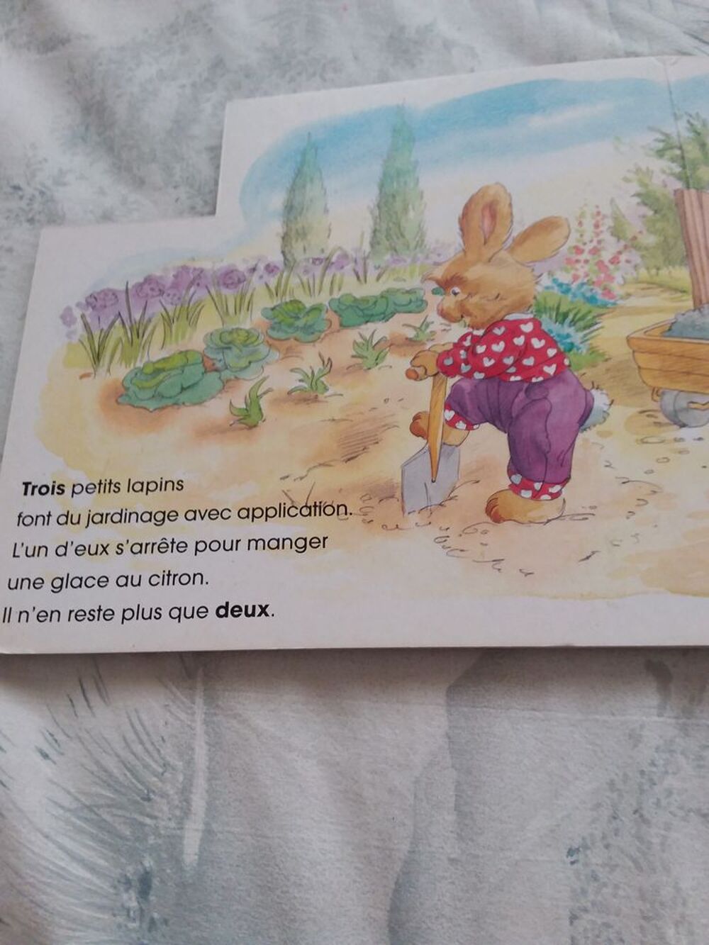 Dix petits lapins Livres et BD