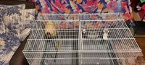   GRANDE CAGE COMME NEUVE ! 