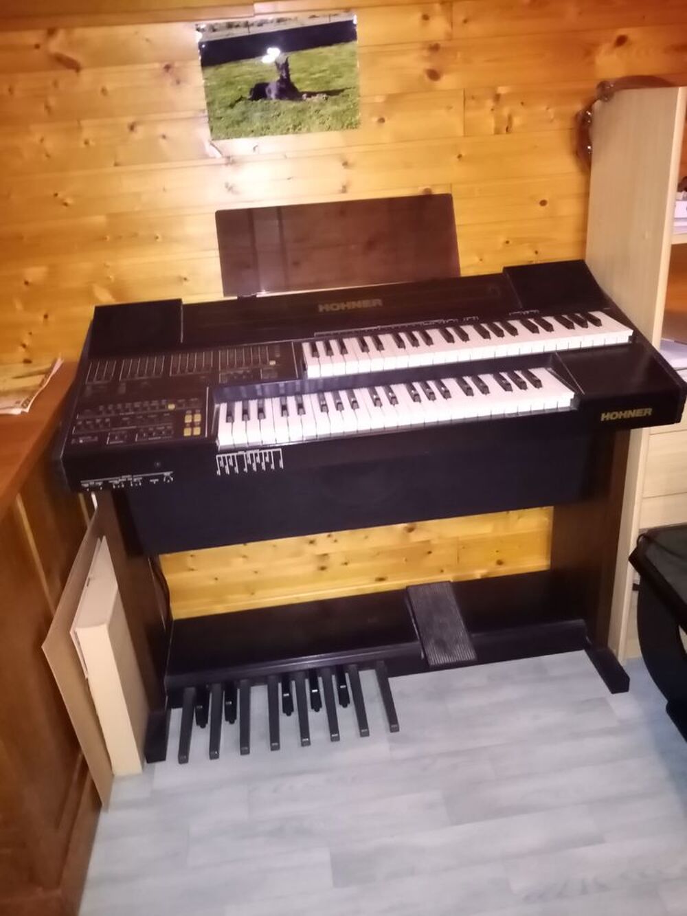  orgue hohner Instruments de musique