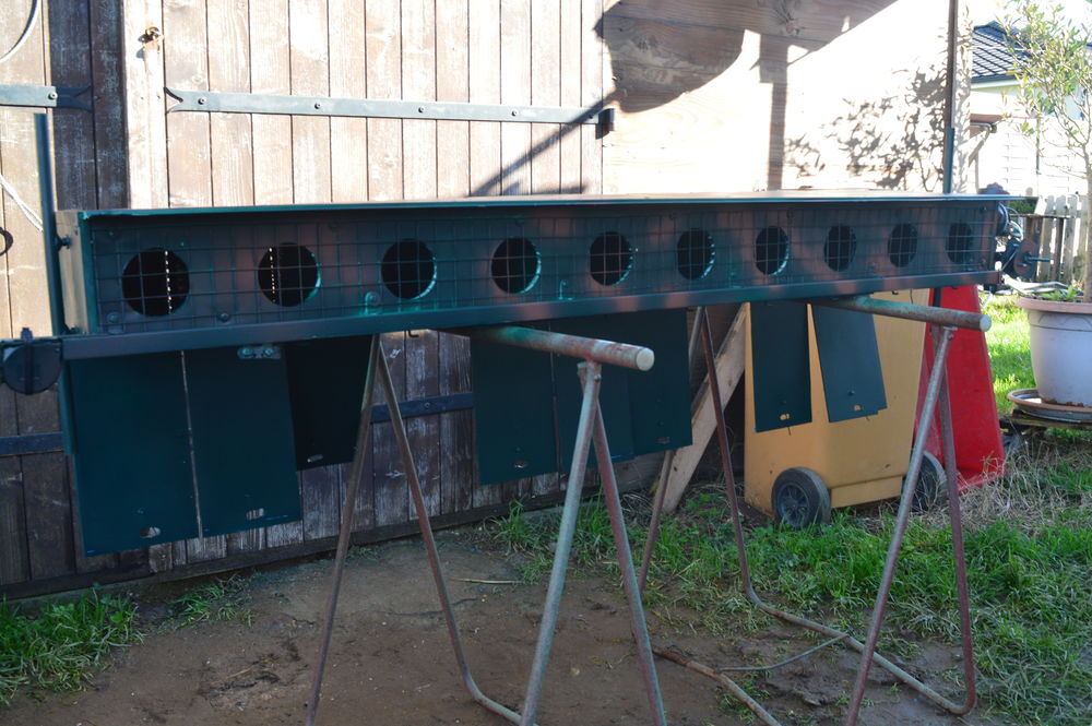 Caisse d'envol pour pigeons palombiere Sports
