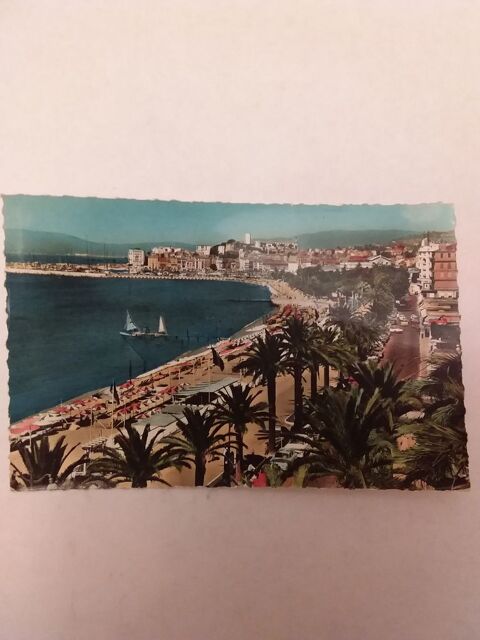 carte postales semis moderne Departement 06 3 Lisieux (14)