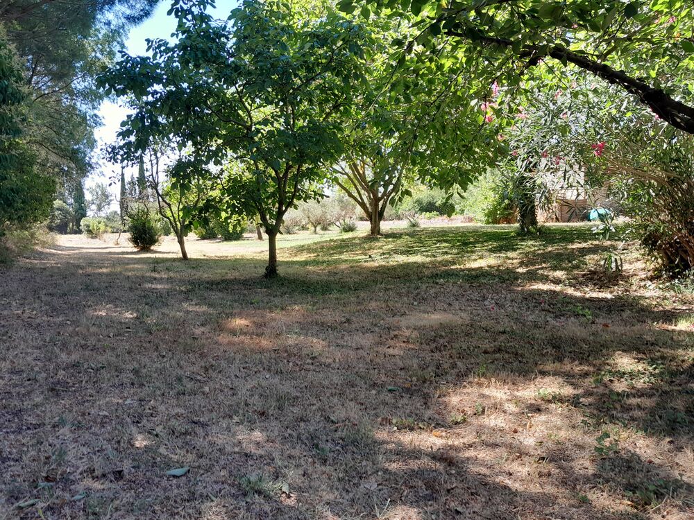 Vente Maison Ancienne ferme familiale1789 / piscine / dépendances /1.5ha Peyriac-minervois