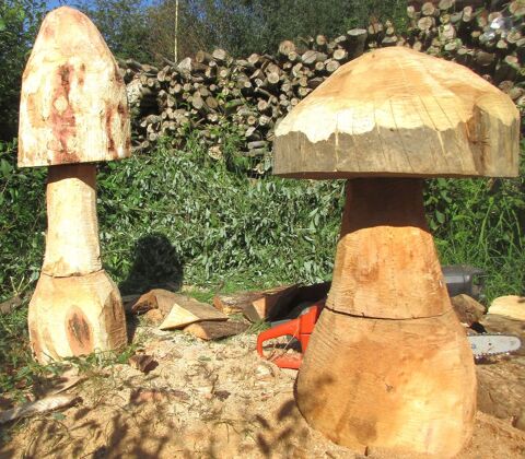 40 champignon en bois massif 40 Lannion (22)