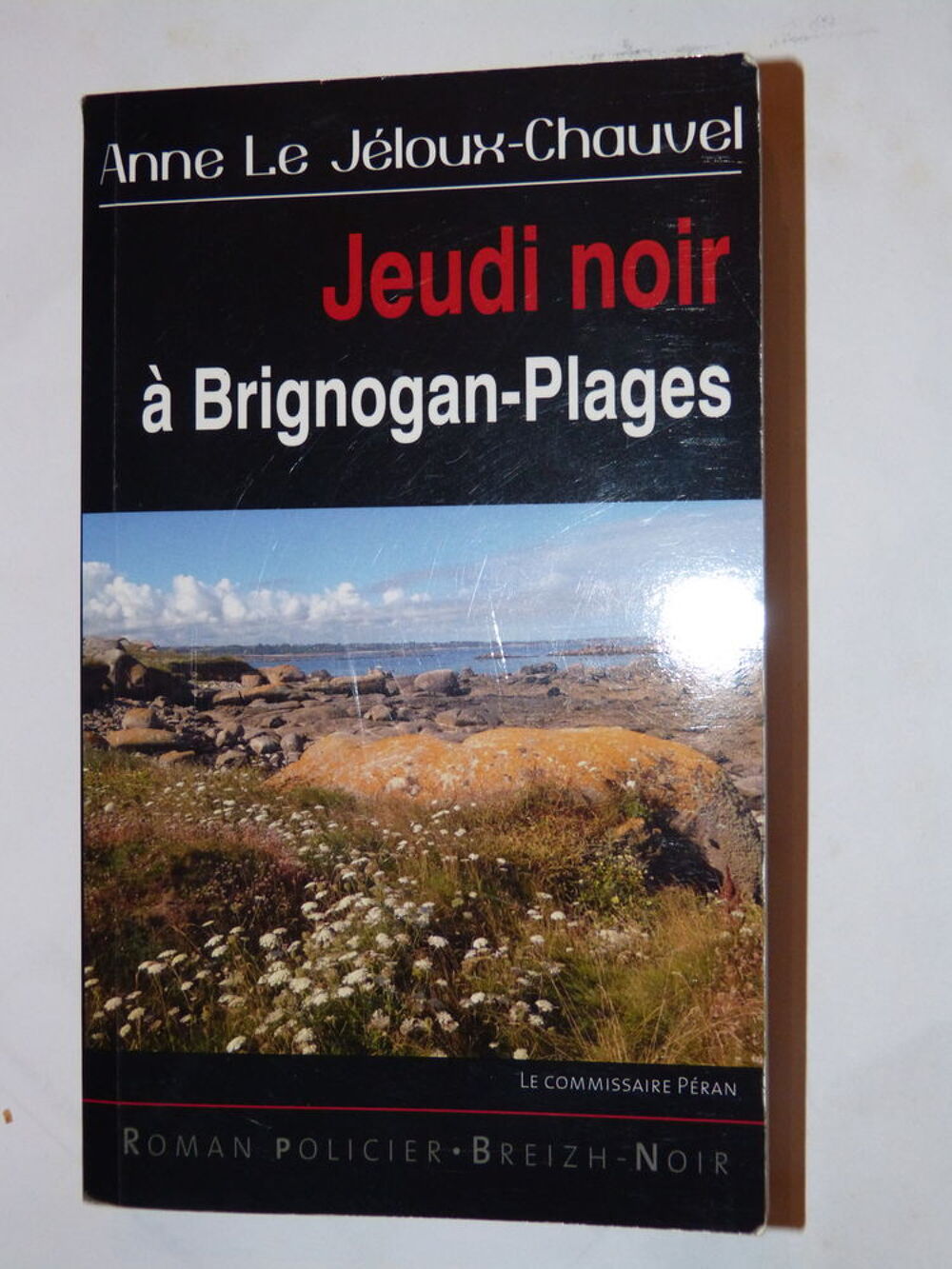 JEUDI NOIR A BRIGNOGAN PLAGES policier BREIZH NOIR Livres et BD