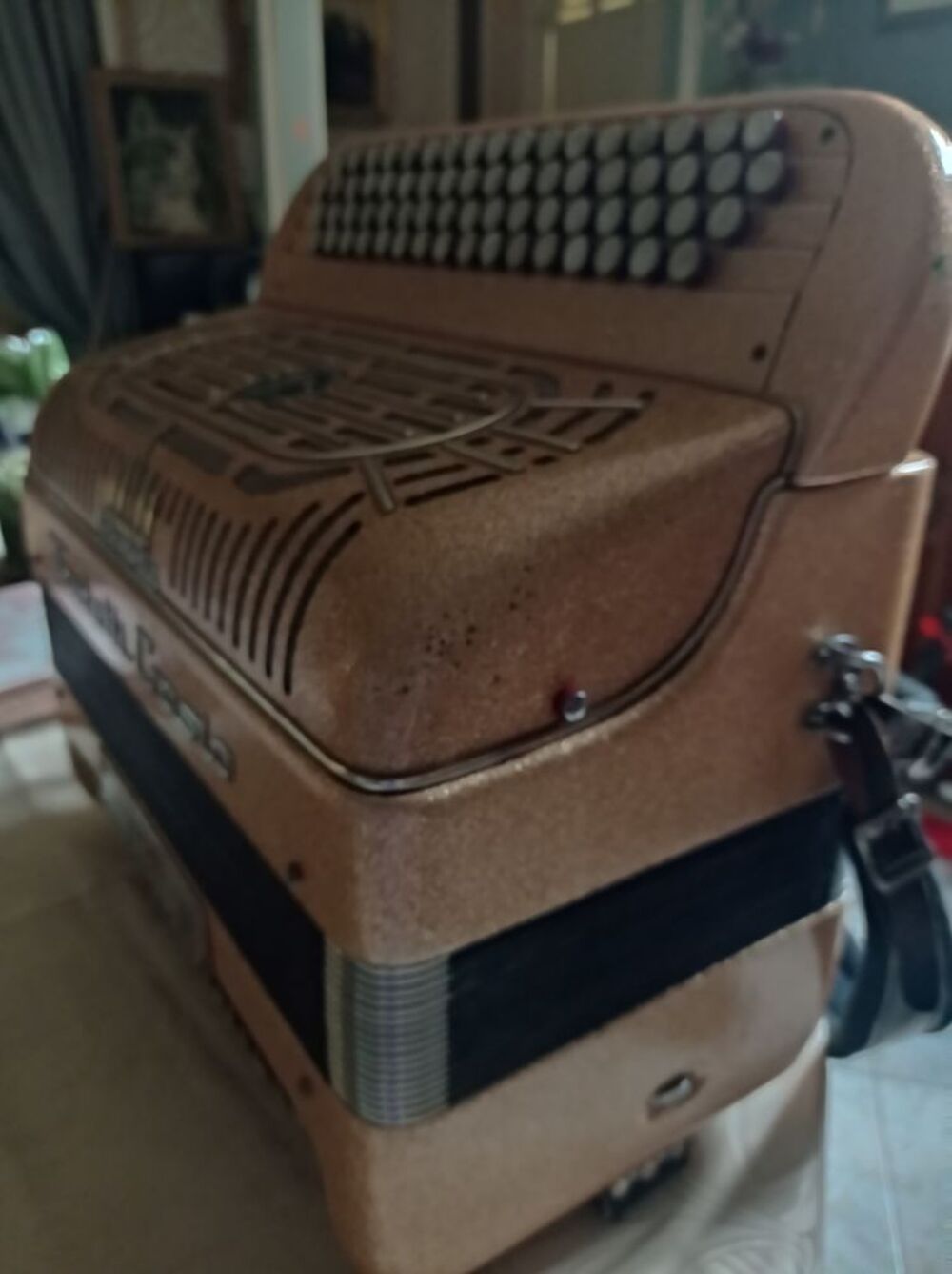 ACCORDEON FRATELLI CROSIO -TBE Instruments de musique