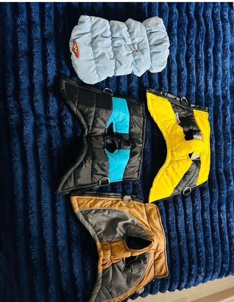 v&ecirc;tements chien 40 30000 N�mes