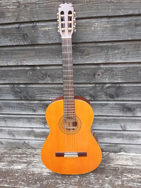 Guitare Jasmine by Takamine 120 Dontreix (23)