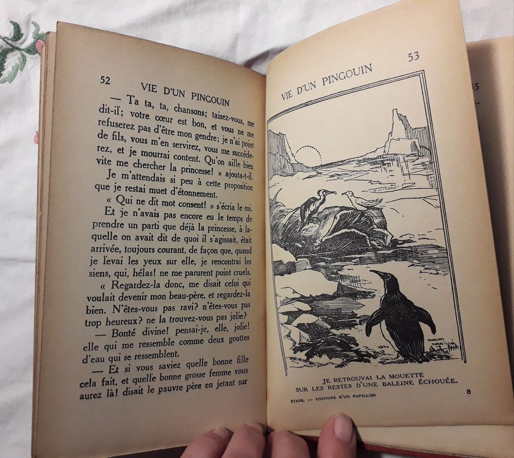 Histoire d'un papillon : &eacute;dition 1932 Livres et BD