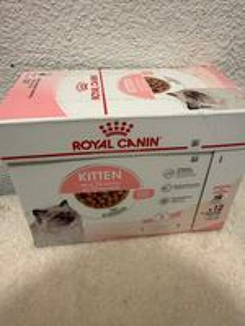   Royal canin british shortair kitten / royal canin kitten  