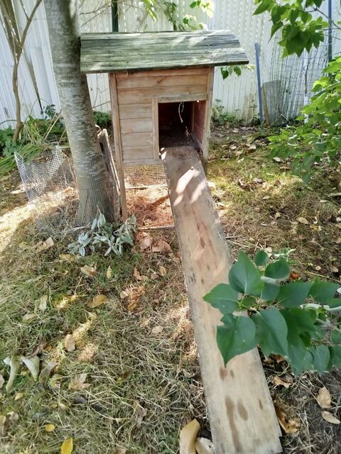 Abri / pondoir pour poule sur&eacute;lev&eacute;. 25 62138 Haisnes