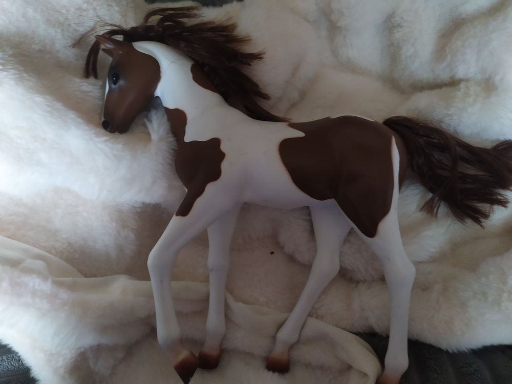 cheval pour barbie Jeux / jouets