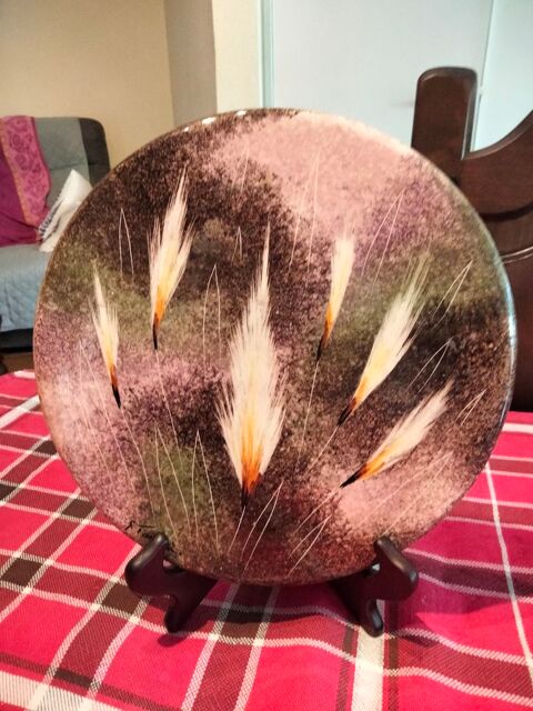 repose plat 0 Nice (06)