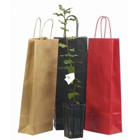 Pour noël : 1 chêne truffier : 1 idée de cadeau originale 10 Saint-Yrieix-sur-Charente (16)