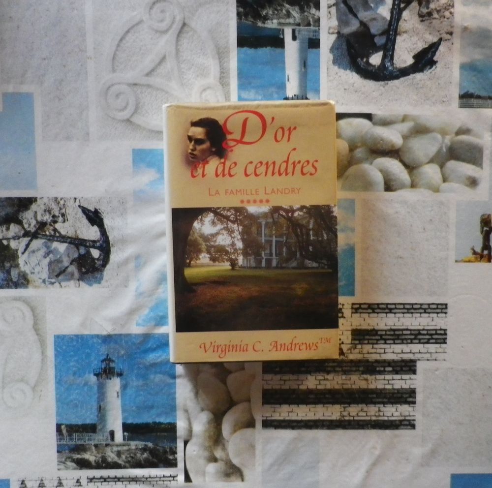 D'OR ET DE CENDRES T5 LA FAMILLE LANDRY Virginia C. ANDREWS Livres et BD