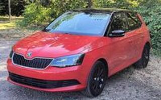 Fabia 1.2 TSI 90 ch Greentec Ambition 2015 occasion 70270 M&eacute;lisey