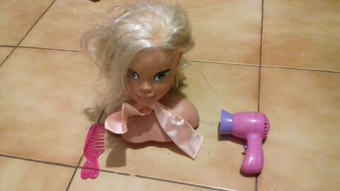 T�te � coiffer avec peigne et s�choir
15 Sept�mes-les-Vallons (13)