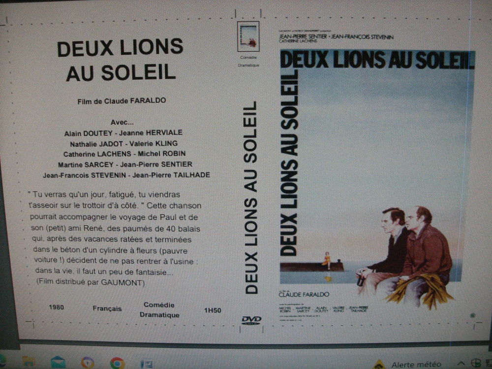 Rare film : " Deux lions au soleil " DVD et blu-ray